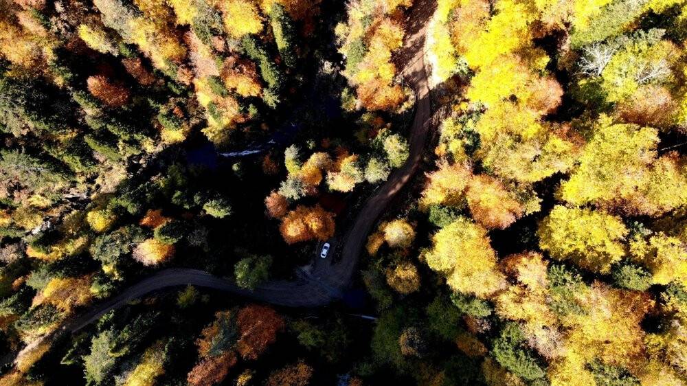 Türkiye’nin en büyük blok ormanlarına girişler yasaklandı