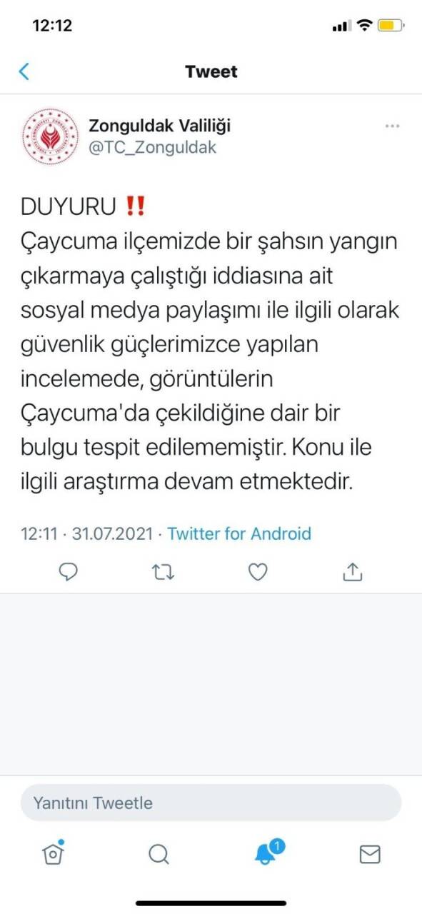 Ağacı ateşe vermeye çalıştıkları o an kamerada