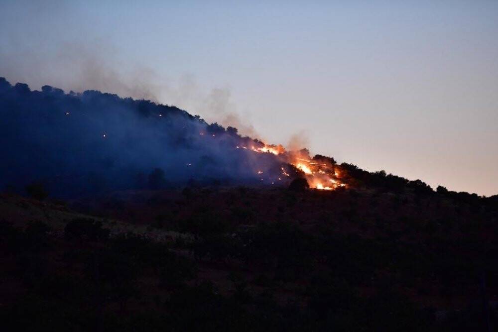 Gaziantep’te çıkan orman yangını kontrol altına alındı