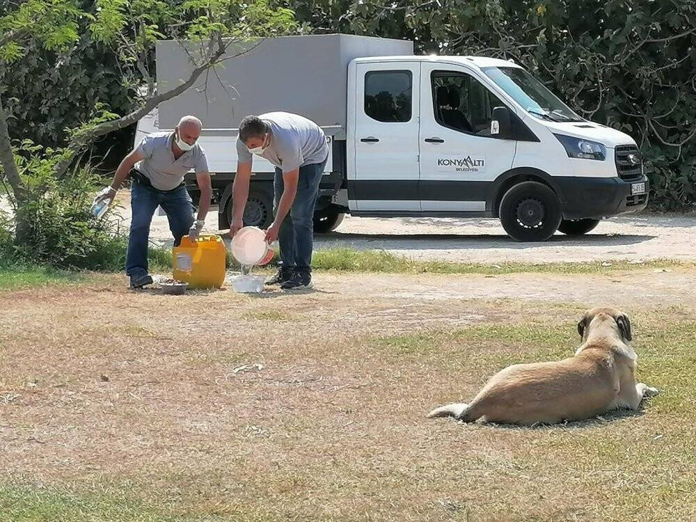Konyaaltı’ndan Manavgatlı çiftçilere yem desteği
