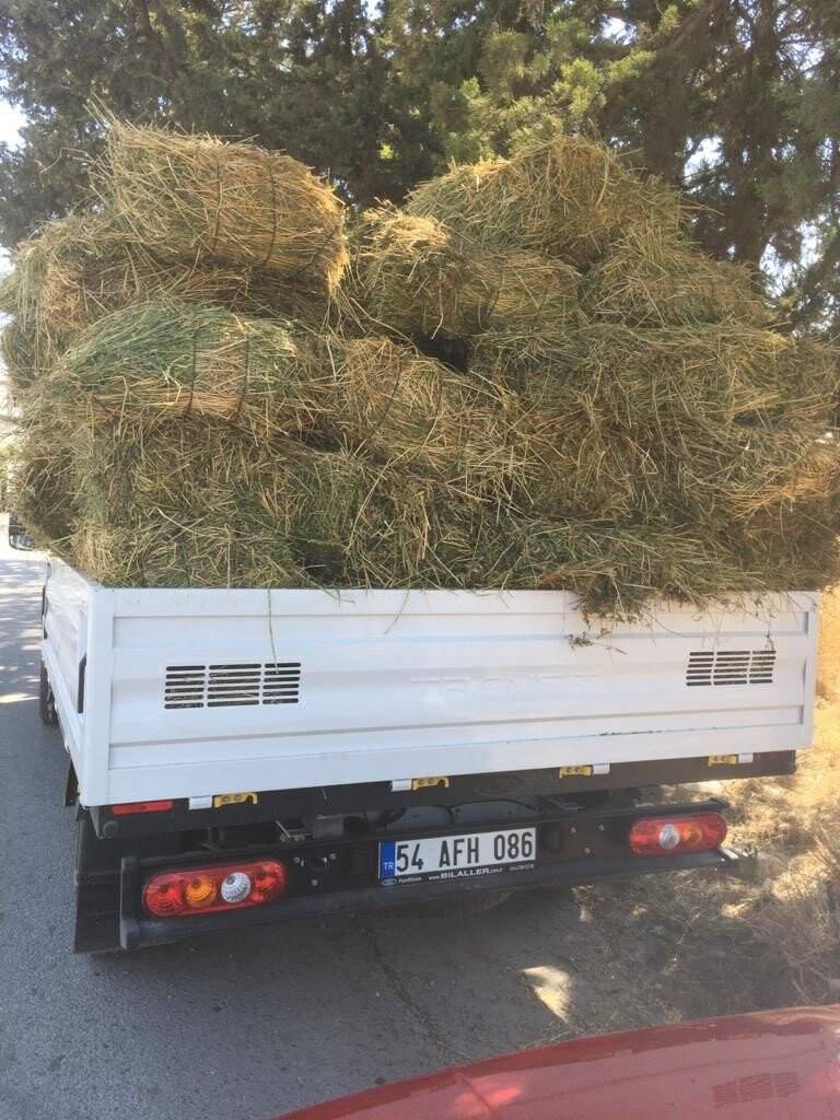 Konyaaltı’ndan Manavgatlı çiftçilere yem desteği