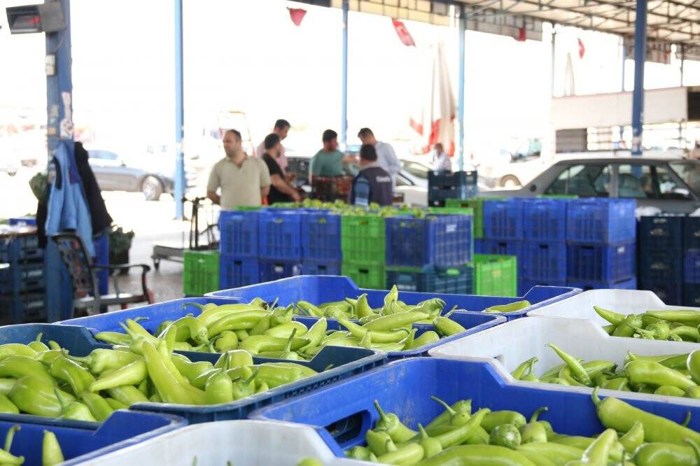Meyvede 1 yılda miktar düştü fiyat yüzde 108 arttı