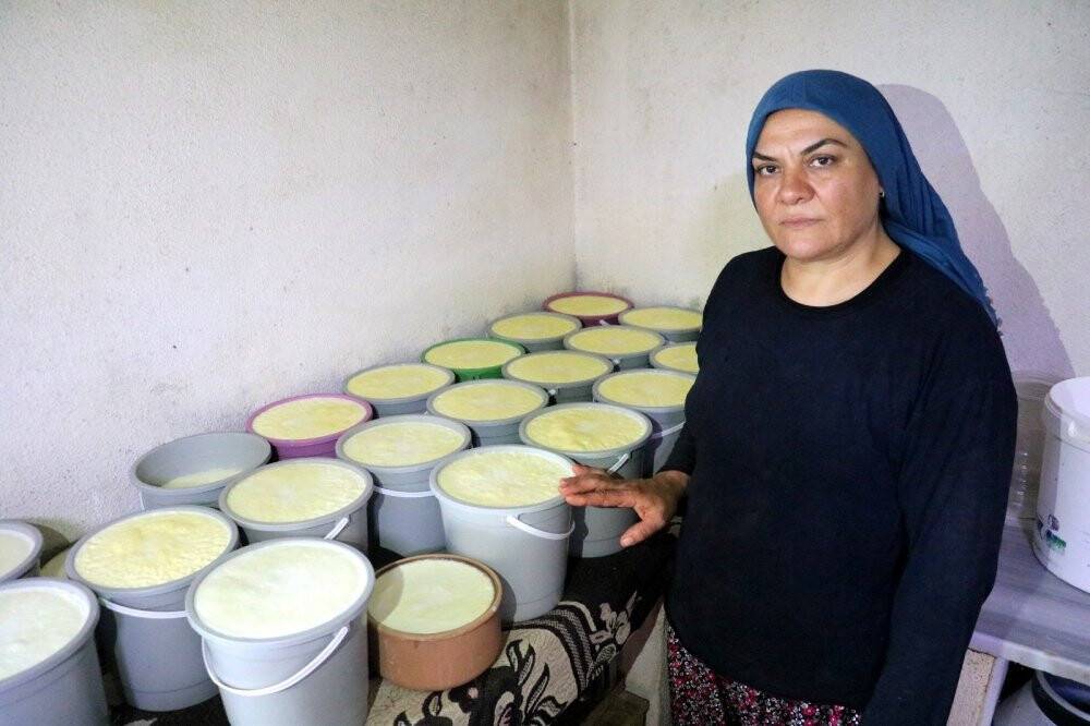 Bu sütün fiyatı normalinin 3 katı