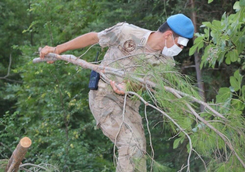 Jandarma Genel Komutanlığı 2 bin 310 personeliyle yangınla mücadele ediyor