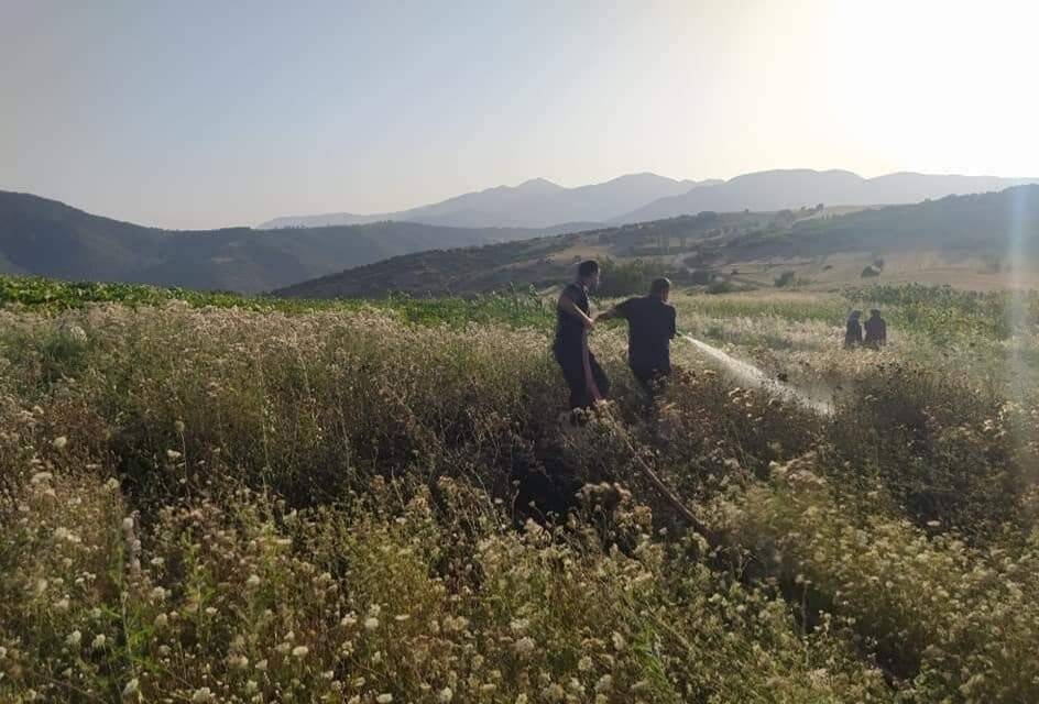 Jandarma ve köylüler yangını ormana sıçramadan söndürdü