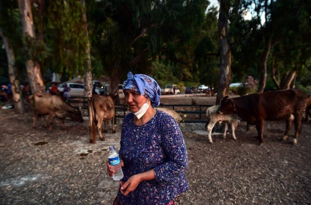 Marmaris’te hayvanlarını canları pahasına korudular