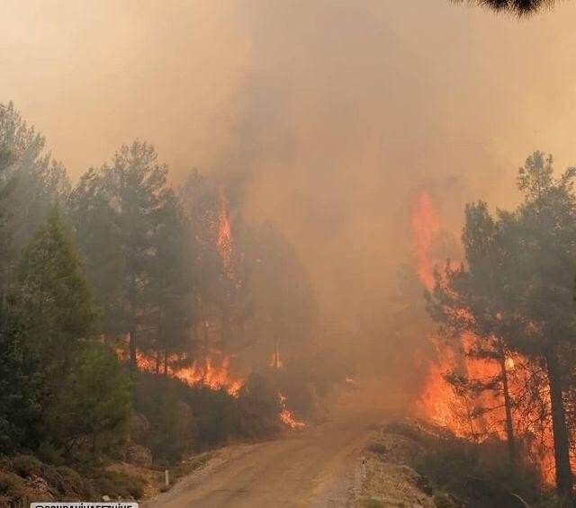 Muğla’da yangınlara müdahale sürüyor