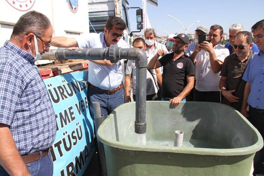 Konya’da 21 göl ve gölete 1 milyon 8 bin yavru sazan balığı bırakıldı
