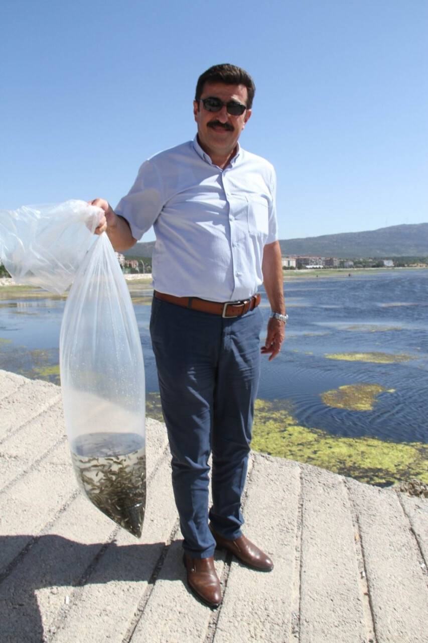 Konya’da 21 göl ve gölete 1 milyon 8 bin yavru sazan balığı bırakıldı