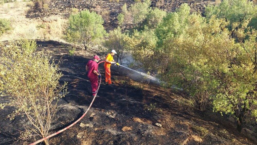 Konya’da ormanlık alanda çıkan yangın büyümeden söndürüldü