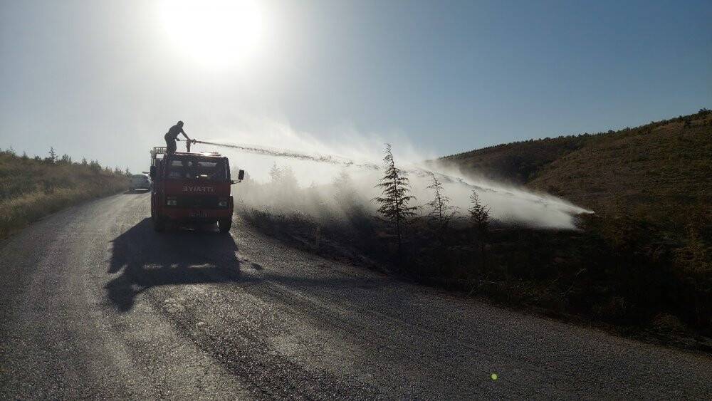 Konya’da ormanlık alanda çıkan yangın büyümeden söndürüldü