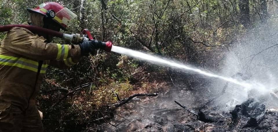 Deniz Kuvvetleri yangına müdahale ediyor