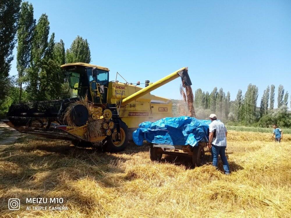 Hububatta biçerdöver kontrolü