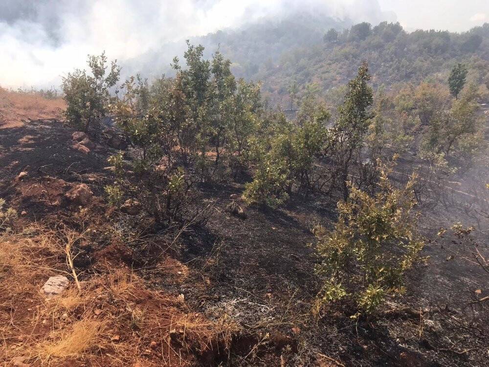 Siirt’teki orman yangını kontrol altına alındı