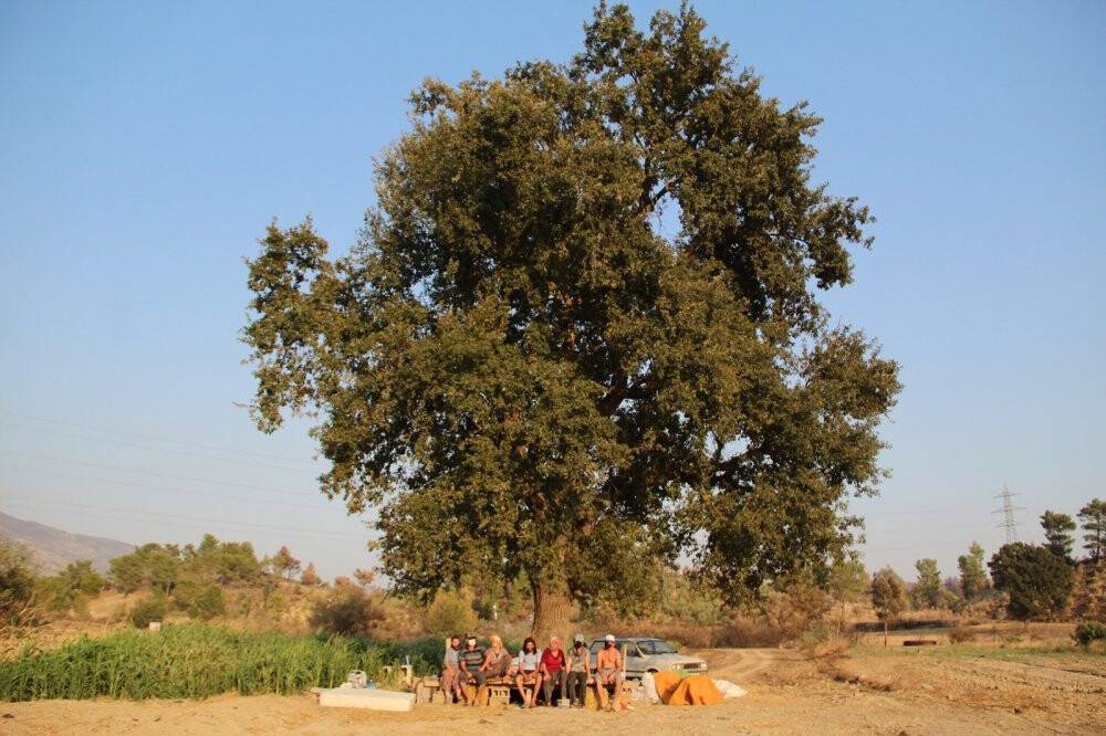 Yangının ardından 40 derece sıcakta çardakta yaşam mücadelesi