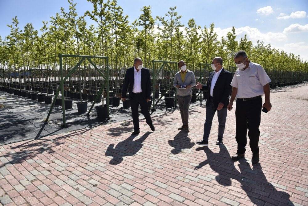 Selçuklu yeşil dokuya fidanlığıyla katkı sağlıyor