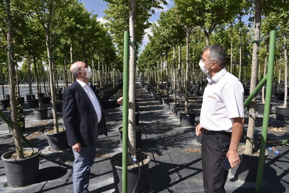Selçuklu yeşil dokuya fidanlığıyla katkı sağlıyor