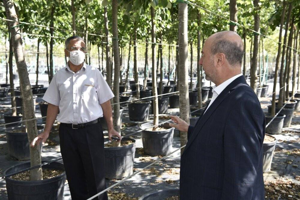 Selçuklu yeşil dokuya fidanlığıyla katkı sağlıyor