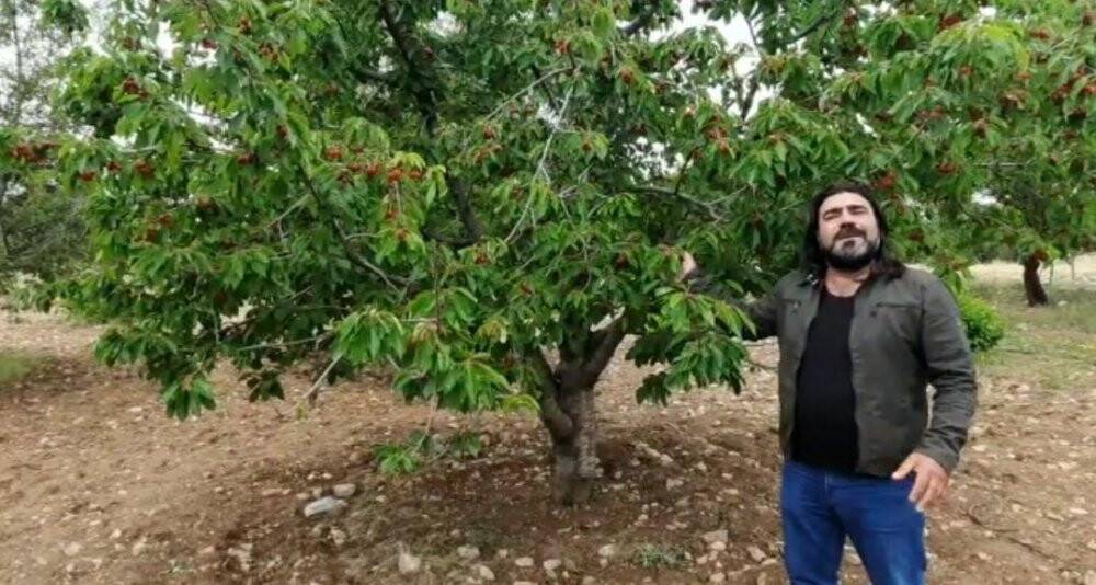 Buda sebil meyve bahçesi