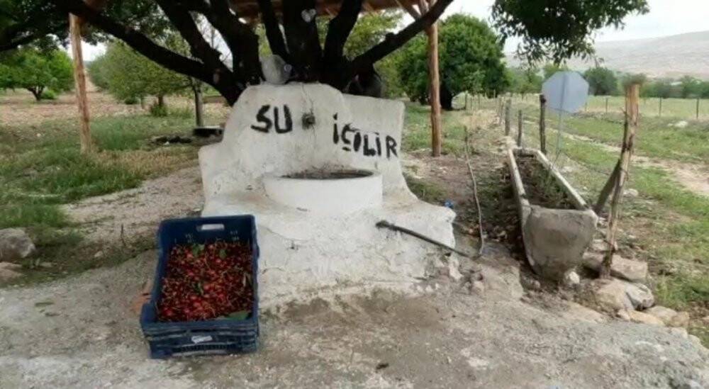 Buda sebil meyve bahçesi