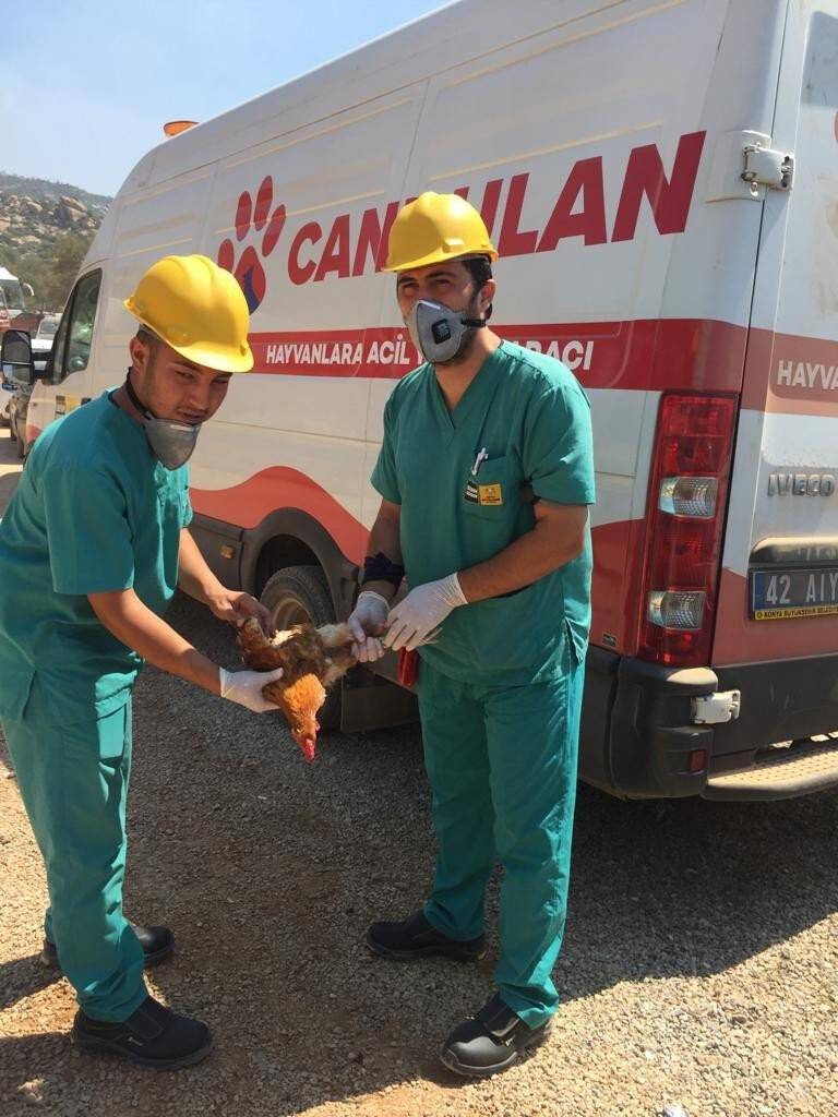 'Canbulan' Manavgat’tan sonra şimdi Muğla’da