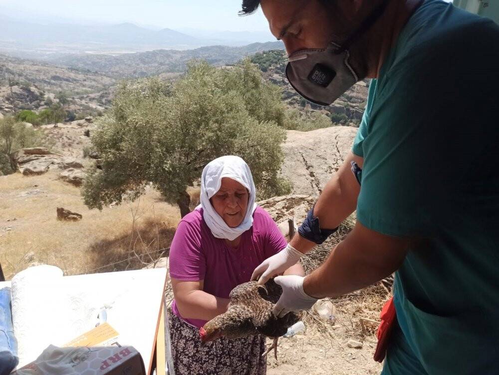 'Canbulan' Manavgat’tan sonra şimdi Muğla’da