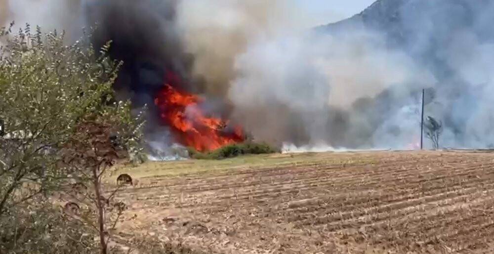 Hayvan çiftliğine sıçrayan yangın söndürülmeye çalışılıyor