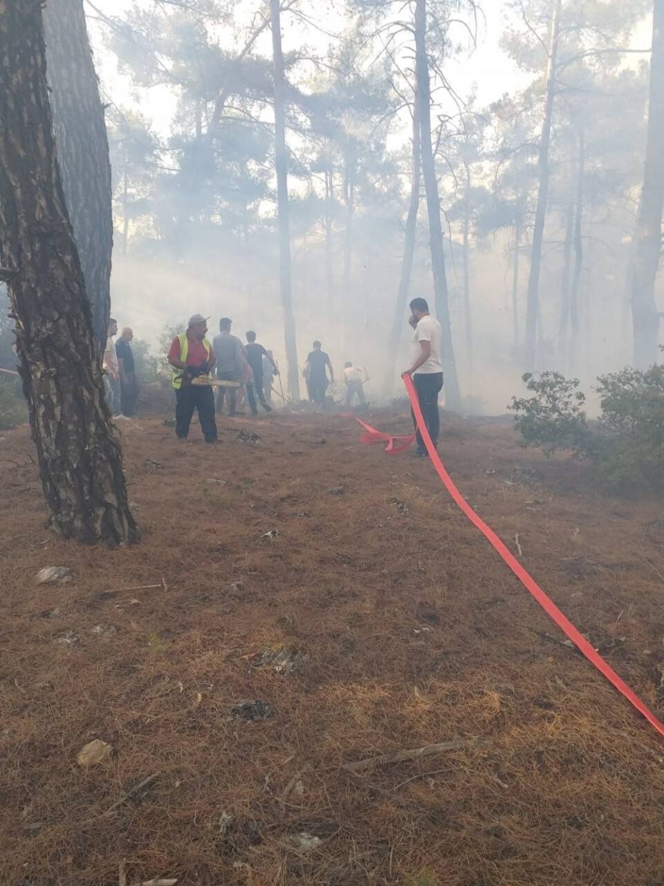 Muğla’daki orman yangını kontrol altına alındı
