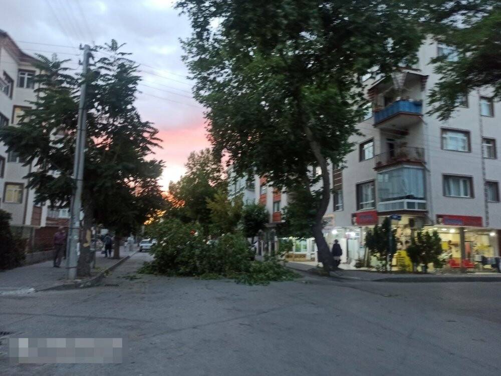 Şiddetli rüzgar ağaçların dallarını kırdı