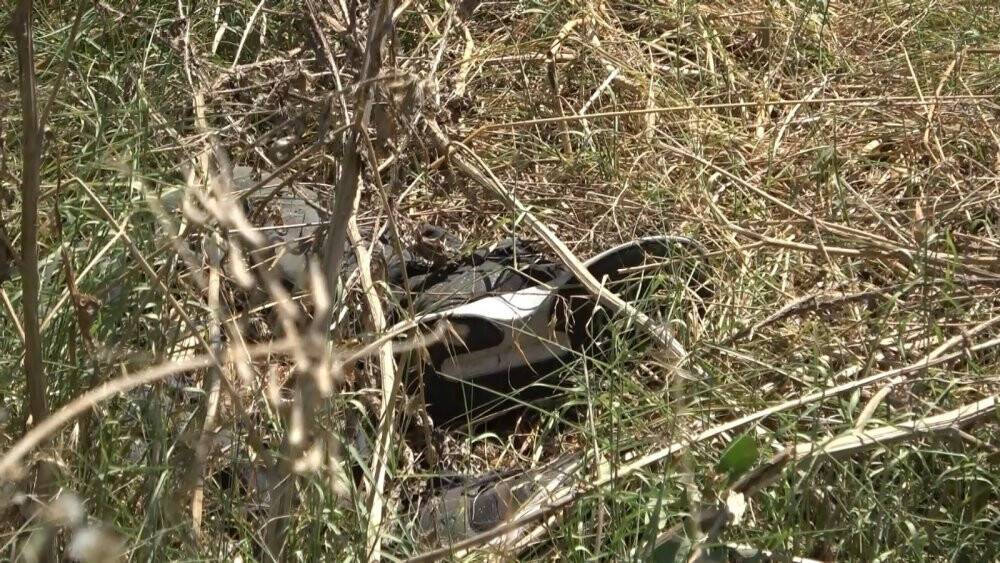 Bursa’da bulunan cesetlerin gizemi çözüldü