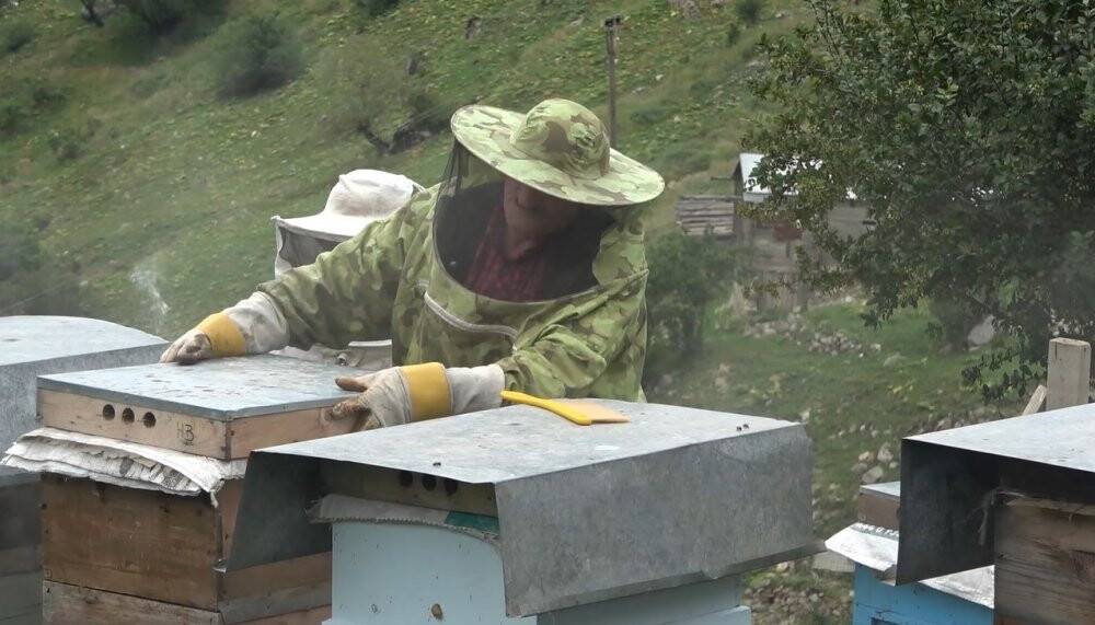 Dünyaca ünlü balın sağımı gerçekleştirildi