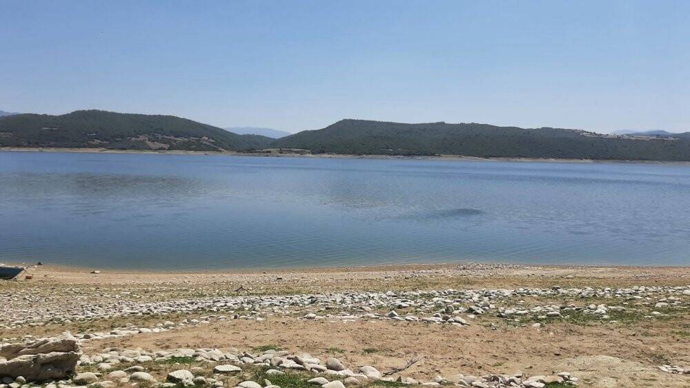 Kahramanmaraş’ta düşen uçağın karabatak kuş sürüsüne çarptığı iddia edildi