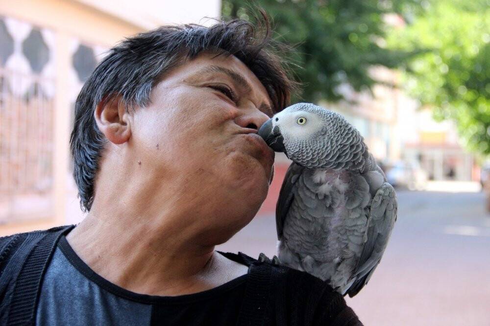 Kredi çekerek aldığı papağanını yanından ayırmıyor