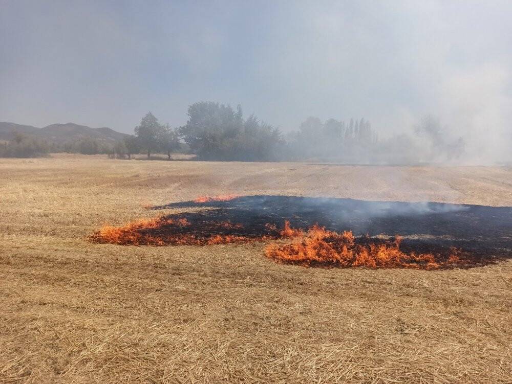Konya’da tarlada çıkan yangın korkuttu