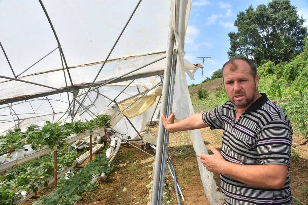 Sinop’ta heyelan seralara zarar verdi