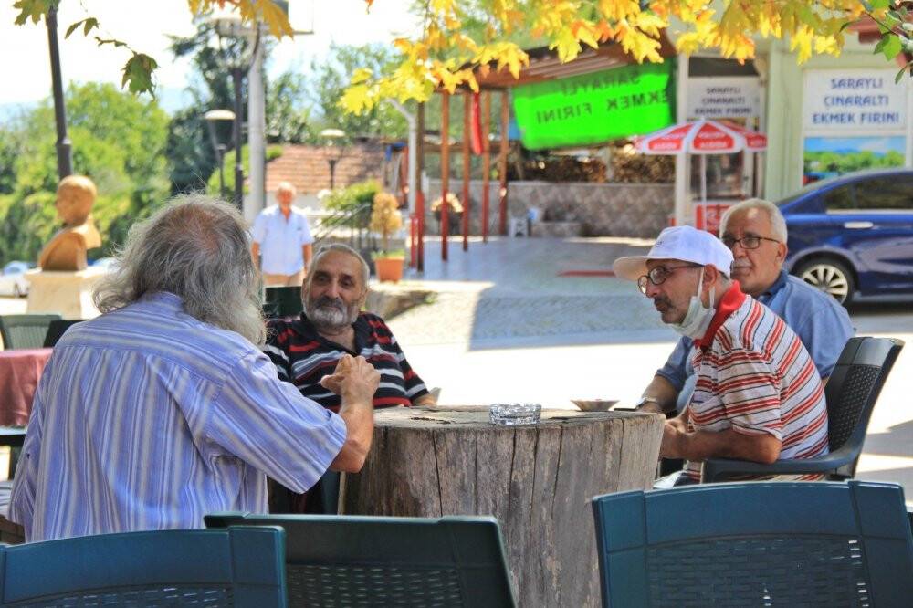 Bin 231 yıllık anıt çınar, bunaltıcı havalarda köylünün kliması oldu