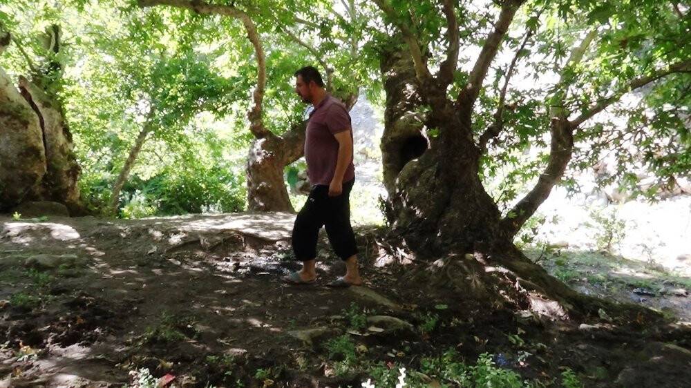 Doğa harikası alandan geriye kalanlar