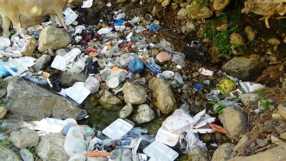 Doğa harikası alandan geriye kalanlar