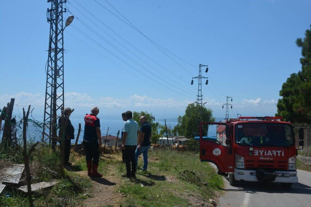 Elektrik direğinden çıkan kıvılcım yangına neden oldu