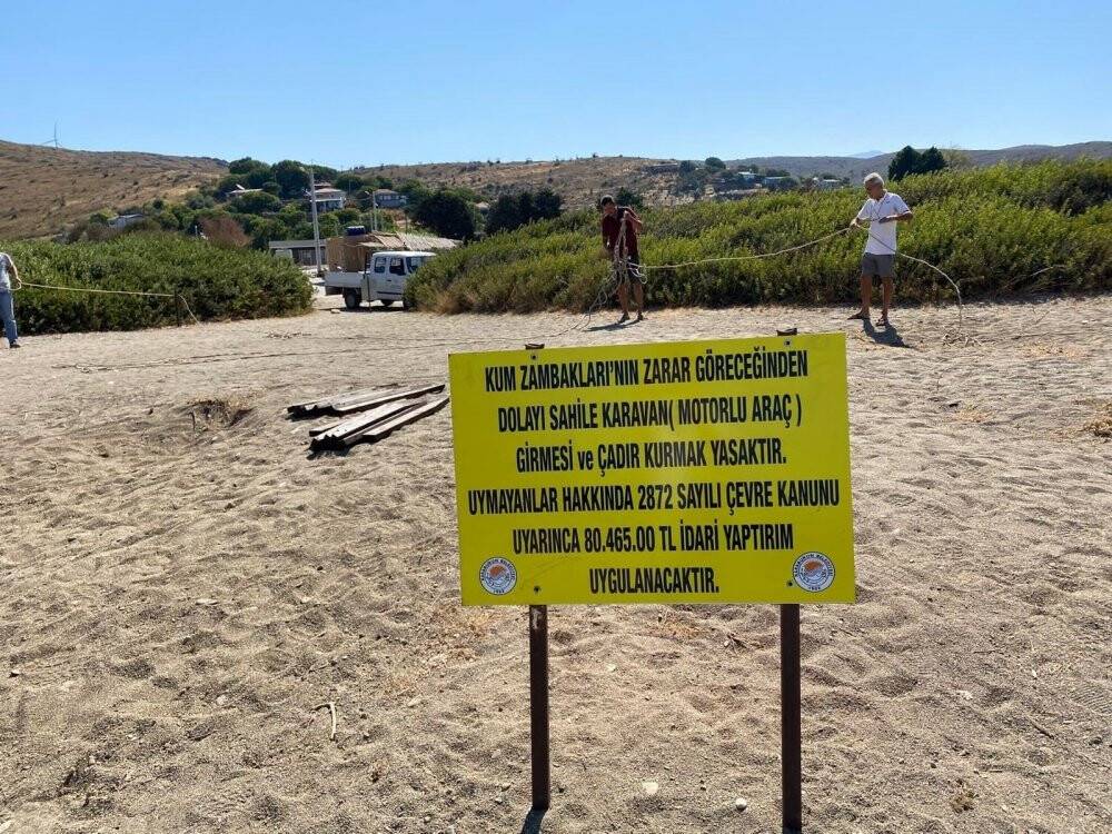 Kum zambakları çiçek açtı, koparmanın cezası 80 bin TL