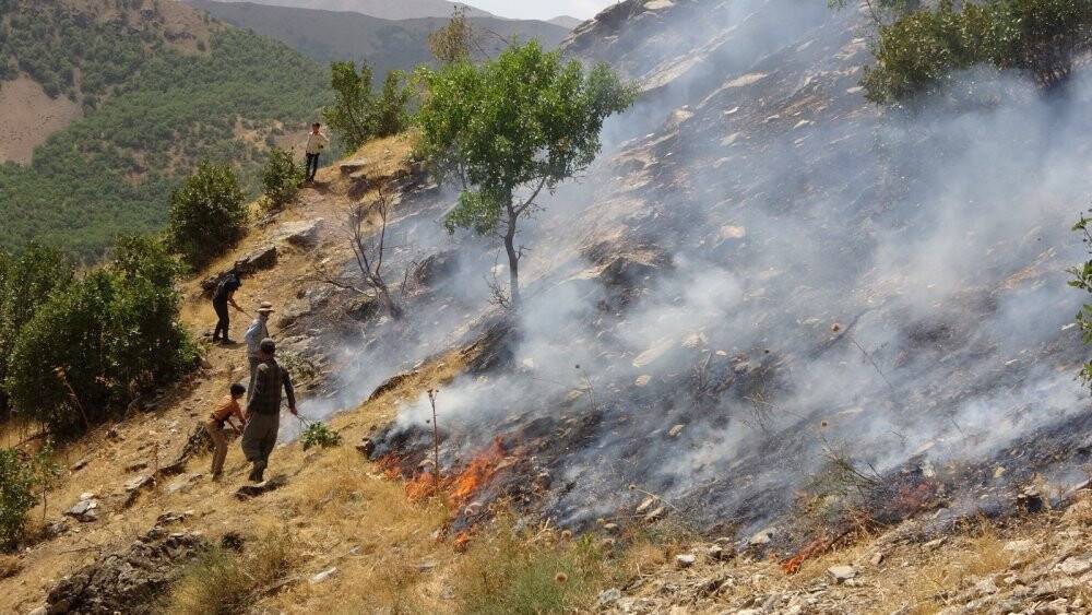 Şemdinli’deki orman yangını korkutuyor