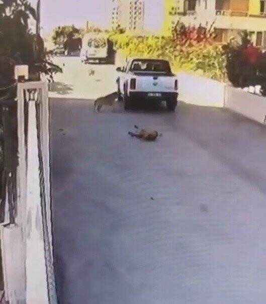 Mersin’de tepki çeken görüntü