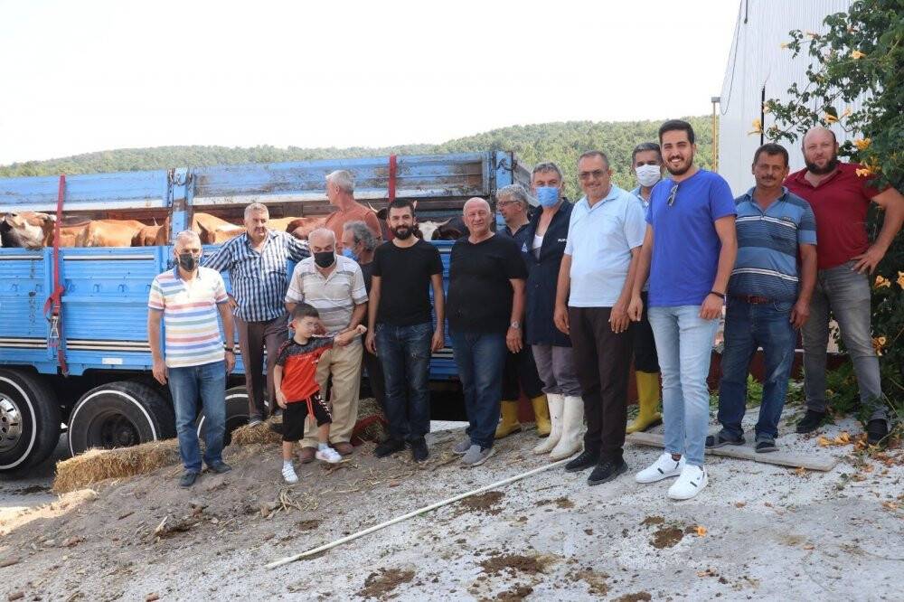 Selden etkilenen çiftçilere 89 büyükbaş hayvan gönderdiler