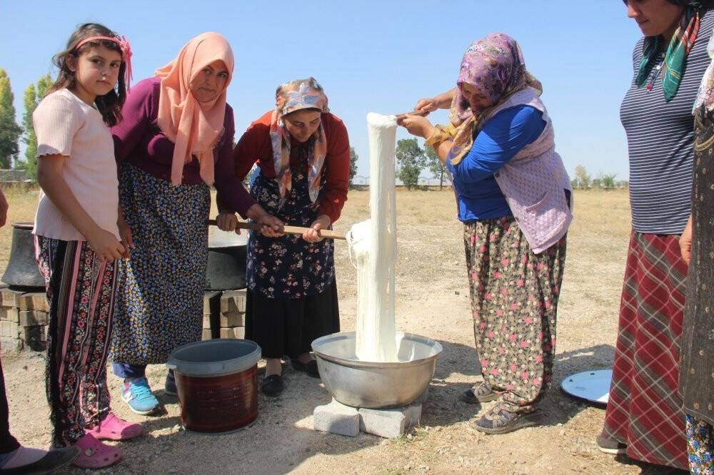 Konya'da kadınlar el ele verip 8 çeşit peynir üretti