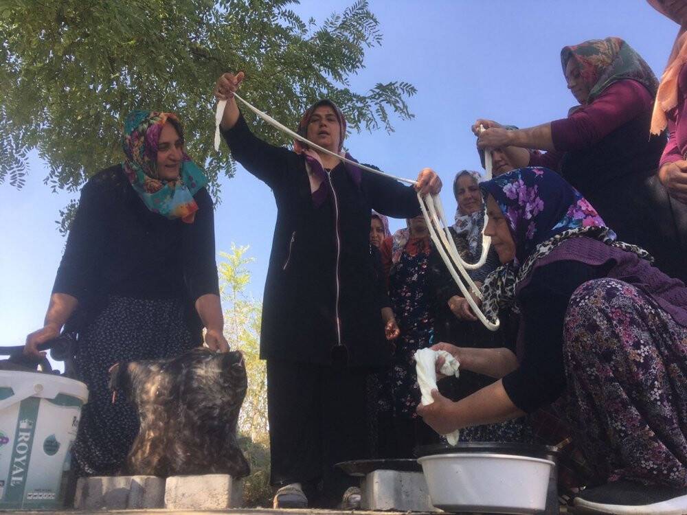 Konya'da kadınlar el ele verip 8 çeşit peynir üretti