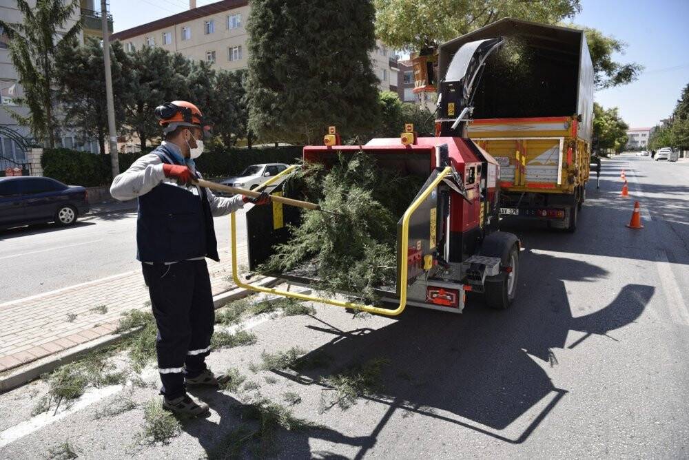Selçuklu Belediyesinde ağaç budama mesaisi