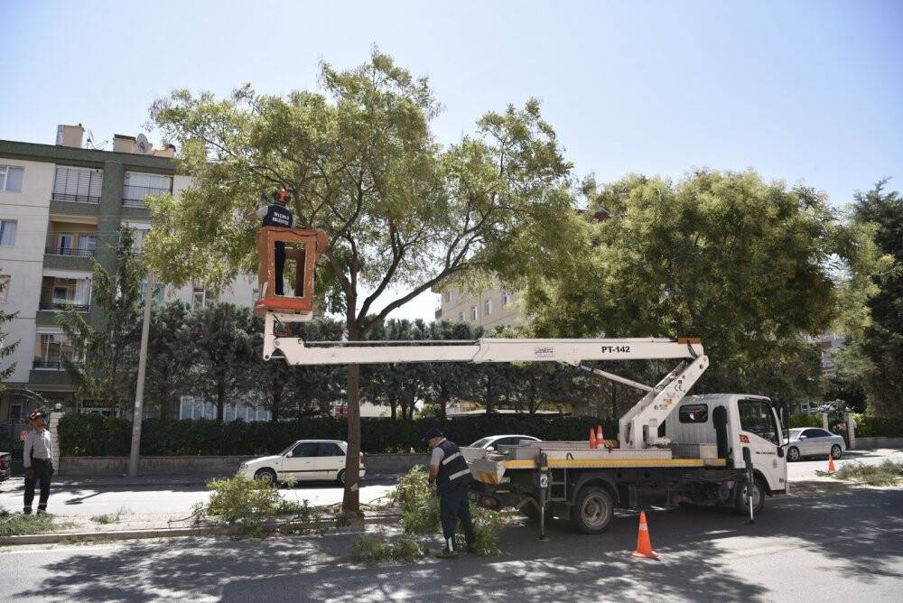 Selçuklu Belediyesinde ağaç budama mesaisi
