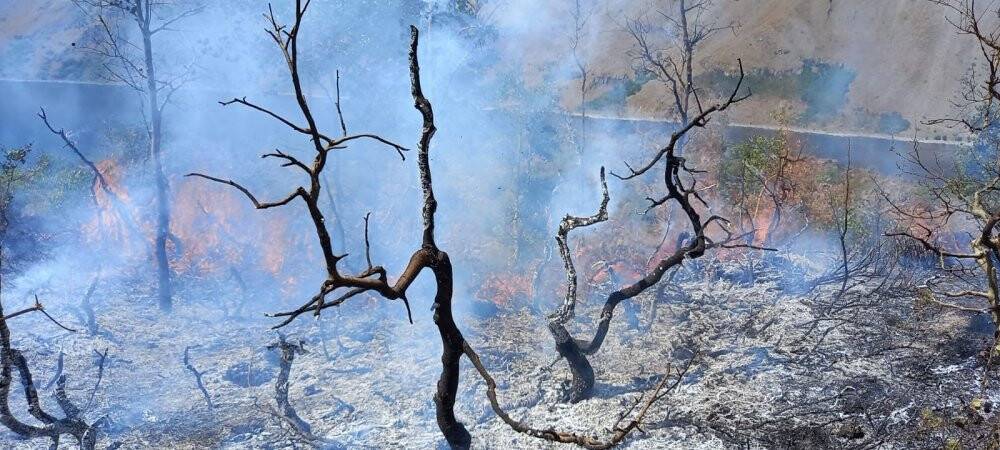 Doğa harikası Nemrut kalderasında korkutan yangın