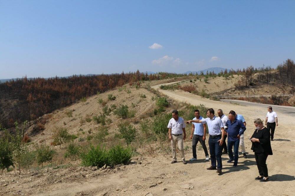 Yangın mağduru köyler, Entegre Tarımsal Kalkınma Projesi ile kalkınacak