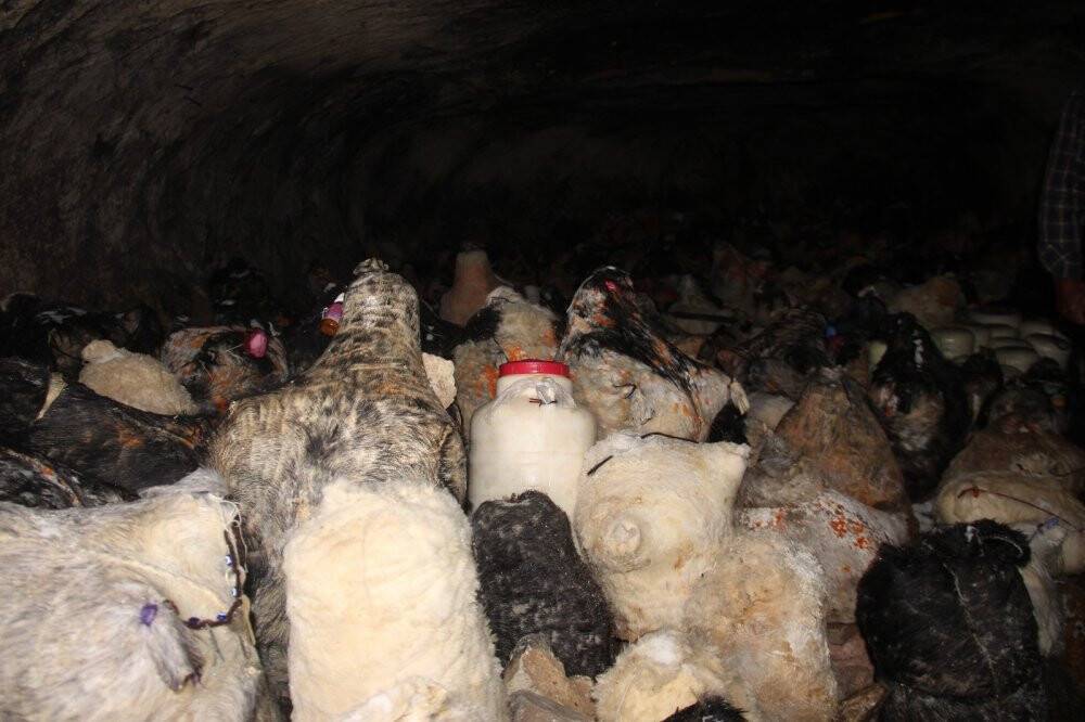 Konya'da deri tulumlardaki peynirler mağaralarda 5 ayda olgunlaşıyor